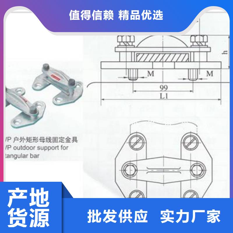 MGT-170母线固定金具樊高