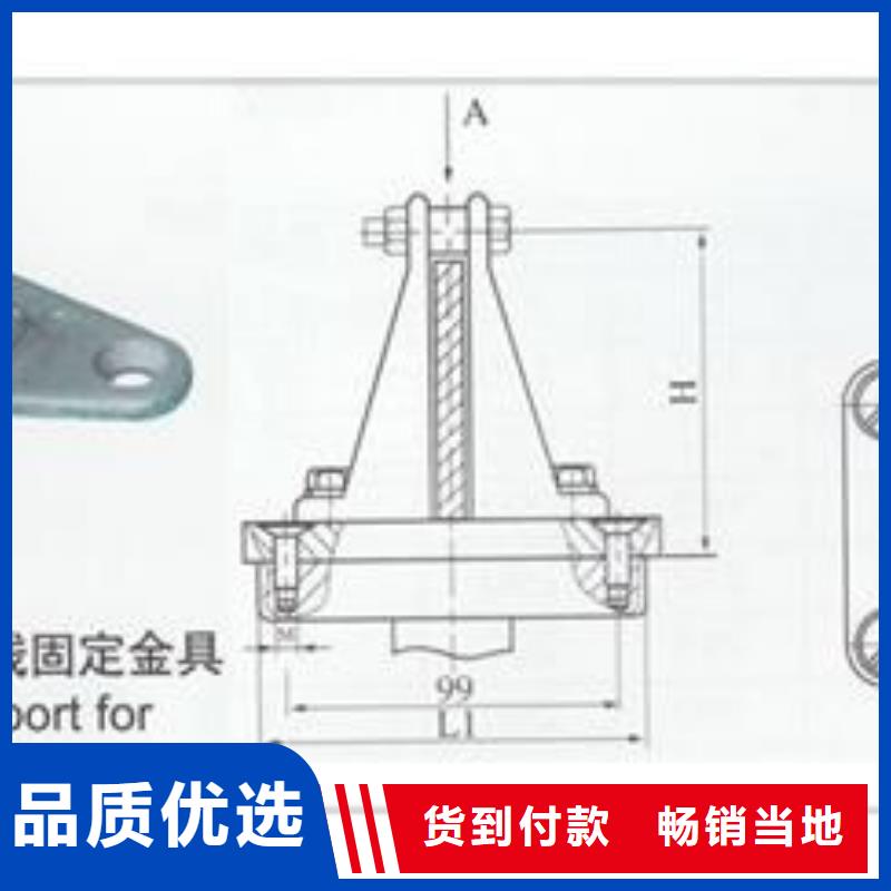 樊高氧化锌避雷器【母线金具固定金具库存丰富】企业旺旺
