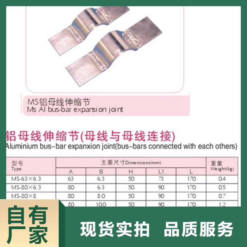 母线金具【限流熔断器】厂家案例本地品牌