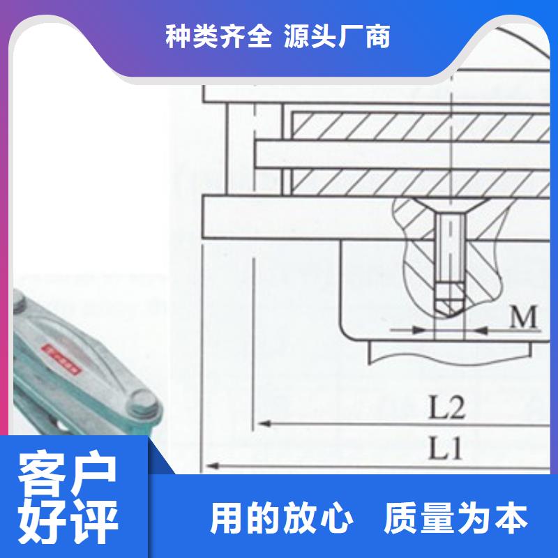 SYG-150/40A设备线夹厂家