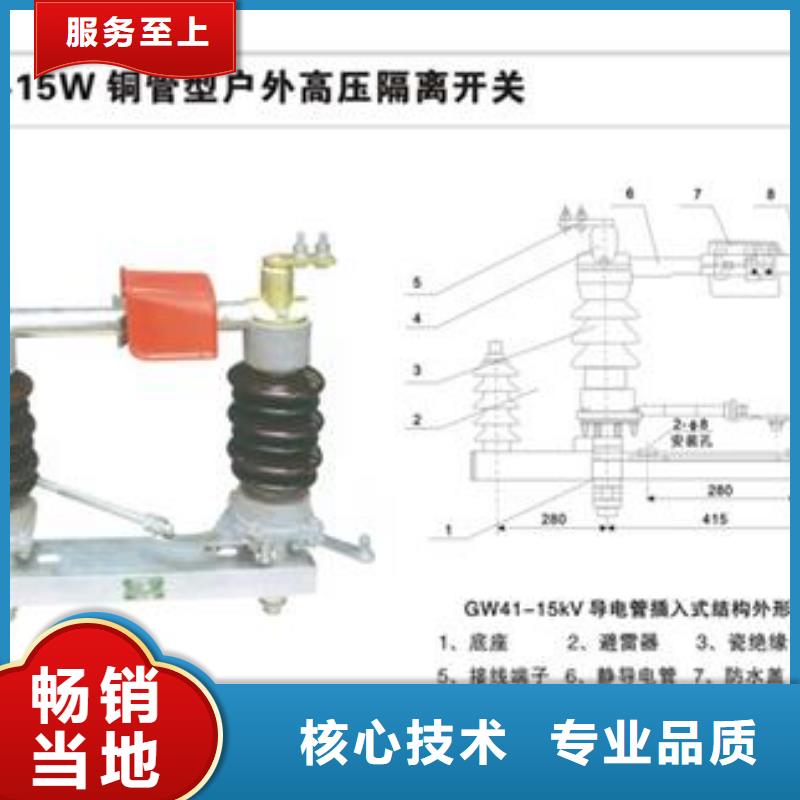 HGW9-10/200隔离刀闸