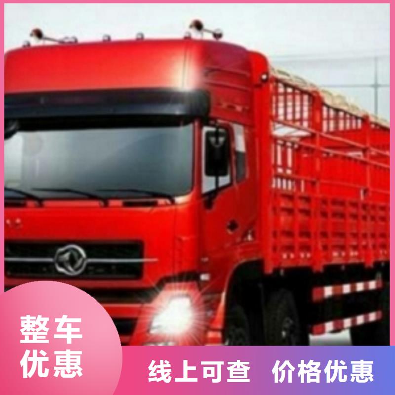 【 1精品专线】