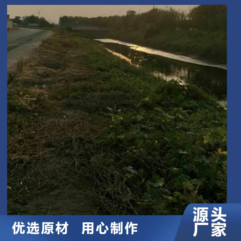 浙江土壤固化剂临时道路固化土图片