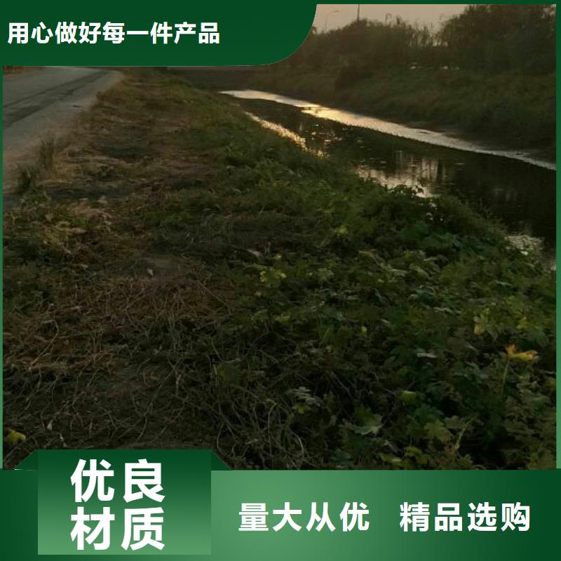 土壤稳定剂灾区快速筑路固化土方法