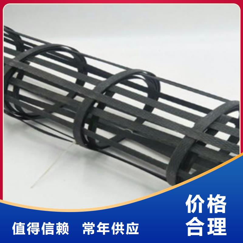 【钢塑土工格栅塑料土工格栅型号齐全】