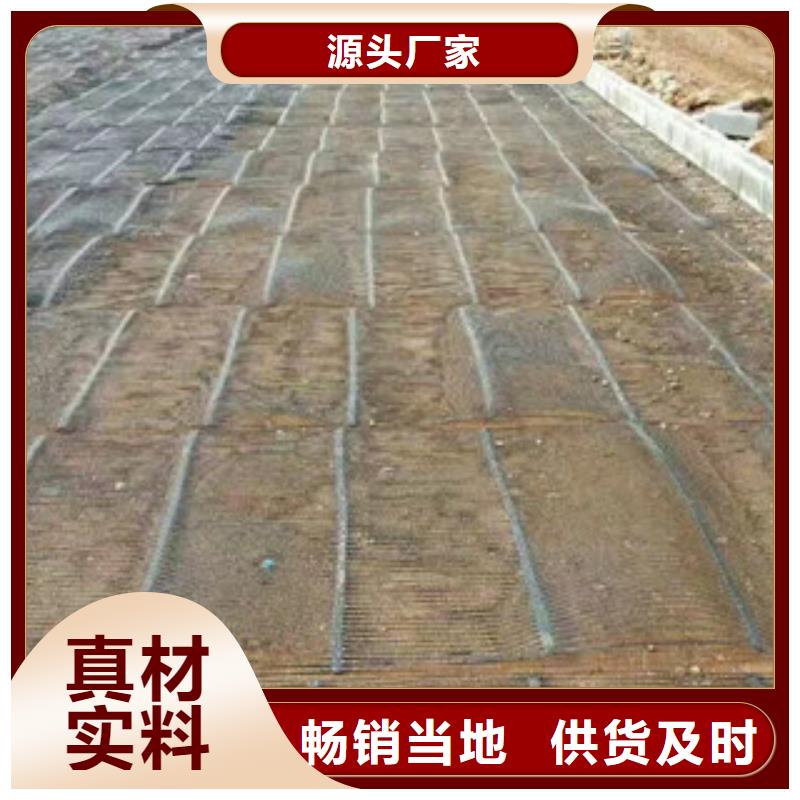 单向塑料格栅膨润土防水毯直销厂家
