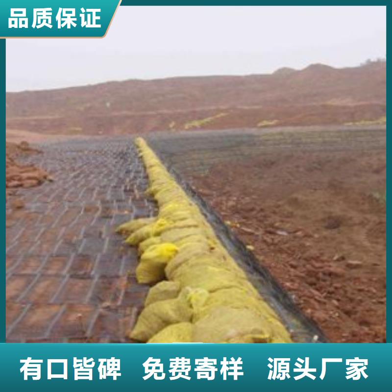 【单向塑料格栅钢塑土工格栅质量优价格低】