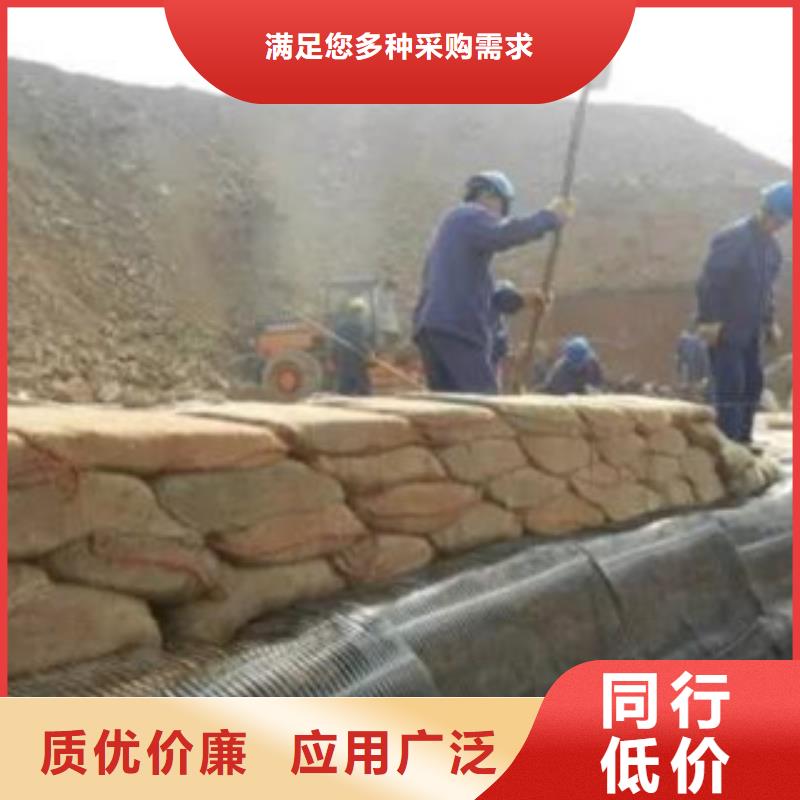 单向塑料格栅玻纤土工格栅好产品有口碑