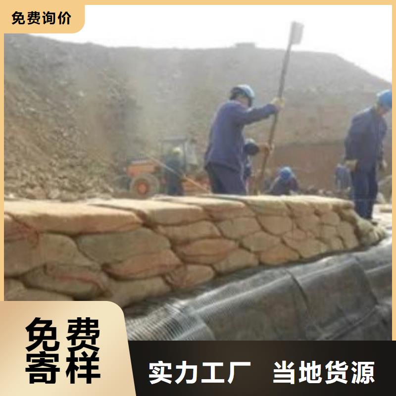 单向塑料格栅钢塑土工格栅量大更优惠