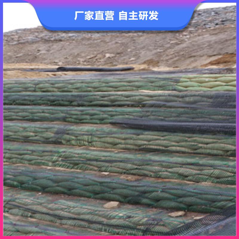 单向塑料格栅-【塑料土工格栅】同行低价由路德为您