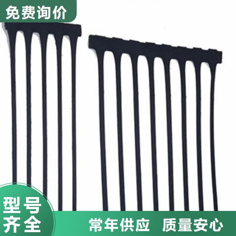 单向塑料格栅玻纤土工格栅诚信商家服务热情