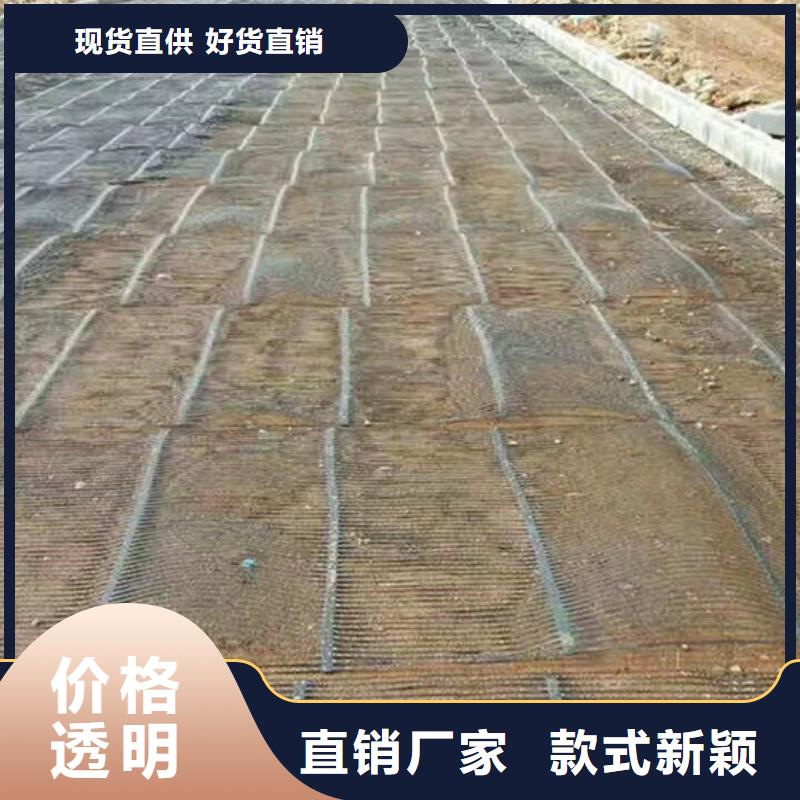 單向塑料格柵高強(qiáng)度土工網(wǎng)誠(chéng)信為本