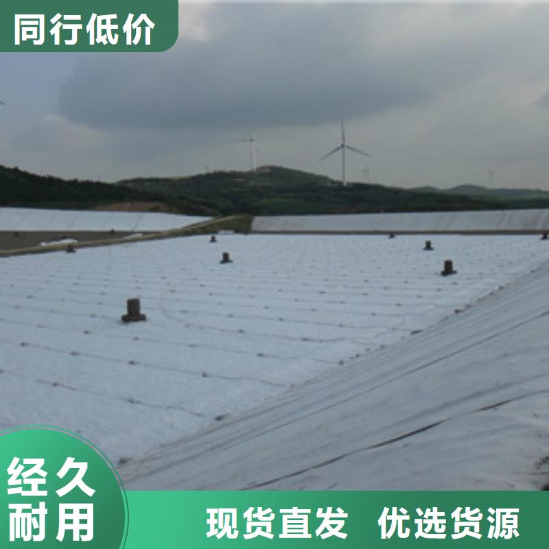 雷州复合土工膜@集团办公室