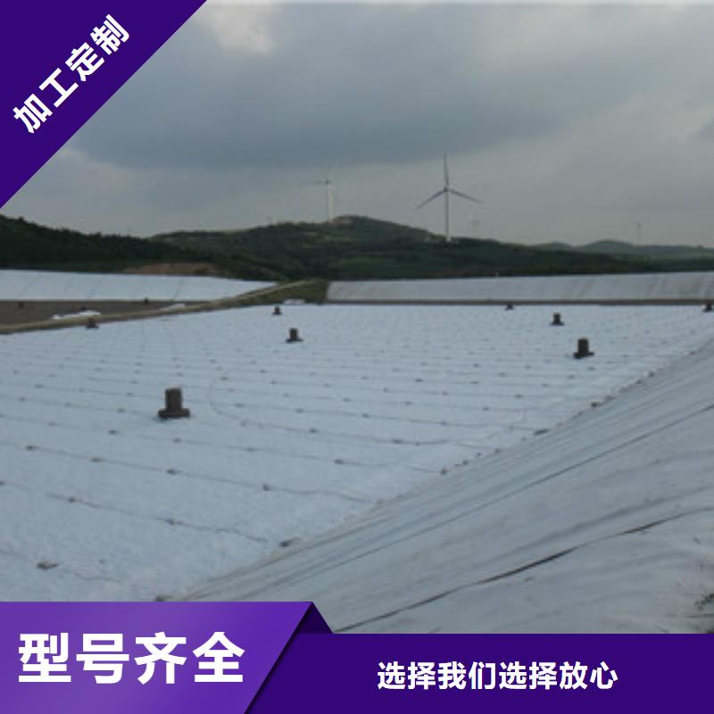 土工布塑料土工格栅实体诚信经营