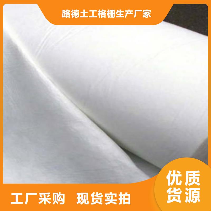 土工布塑料土工格栅专业品质