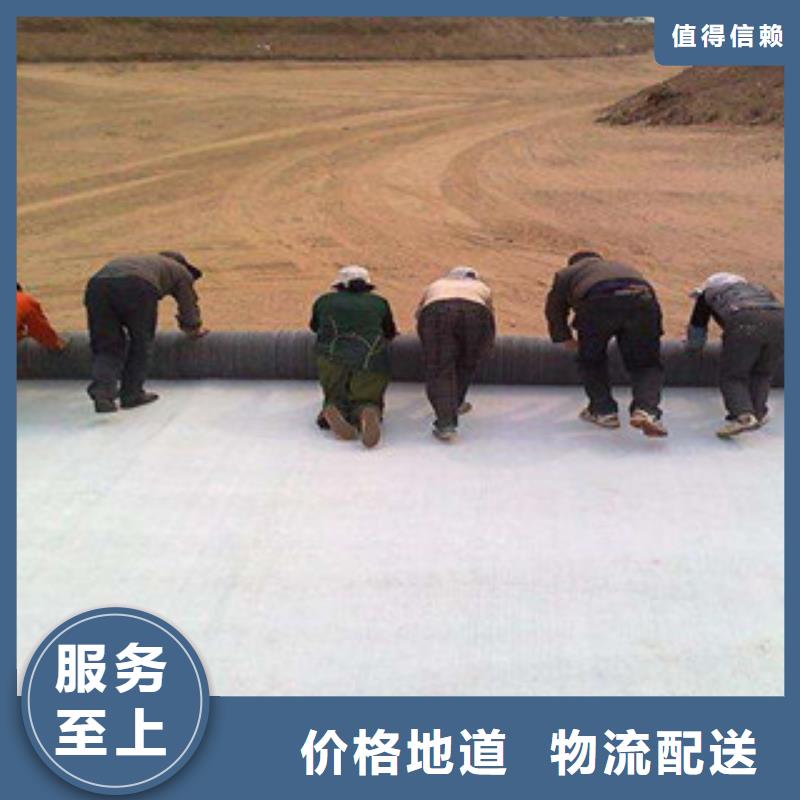 膨润土防水毯钢塑土工格栅厂家