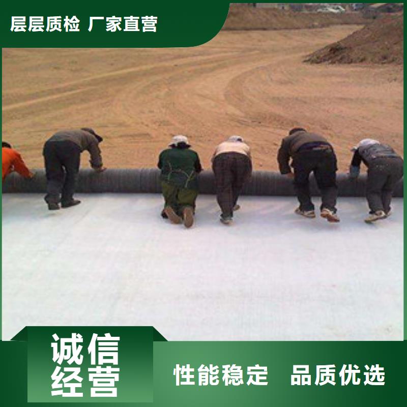 路德钢塑土工格栅膨润土防水毯 【防裂贴抗裂贴】经久耐用