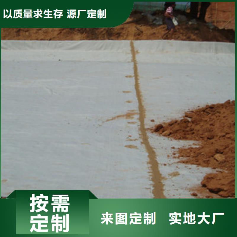 路德钢塑土工格栅膨润土防水毯 【防裂贴抗裂贴】经久耐用