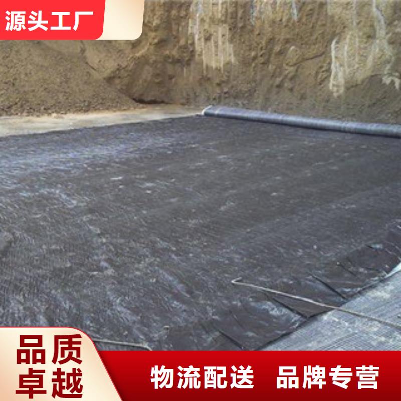 膨润土防水毯规格齐全实力厂家-路德土工格栅生产厂家(绍兴市分公司)