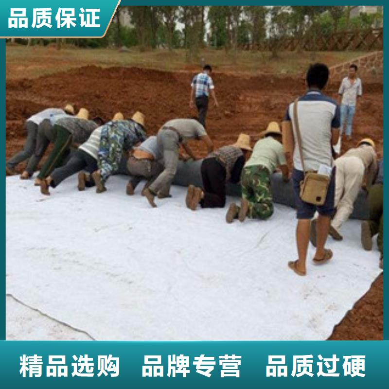 膨润土防水毯复合土工布工艺层层把关