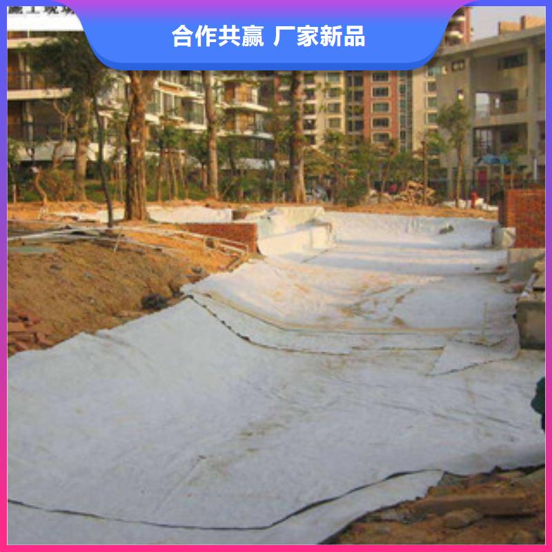 膨润土防水毯塑料土工格栅敢与同行比服务