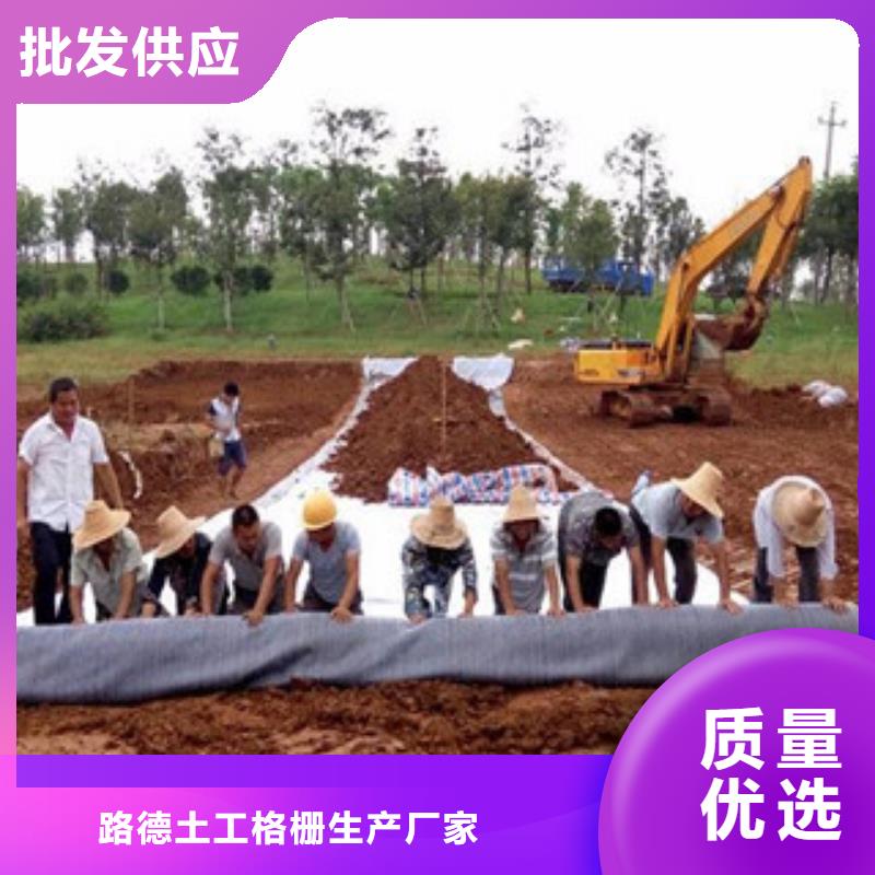 膨润土防水毯规格齐全实力厂家-路德土工格栅生产厂家(绍兴市分公司)