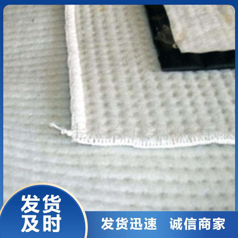 膨润土防水毯规格齐全实力厂家-路德土工格栅生产厂家(绍兴市分公司)