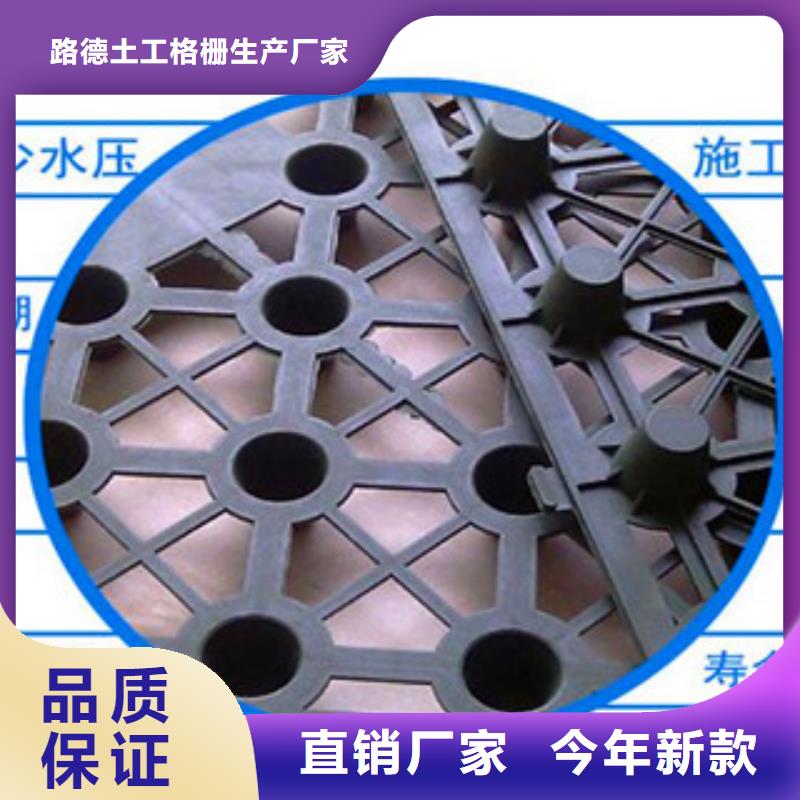 塑料排水板三维植被网厂家