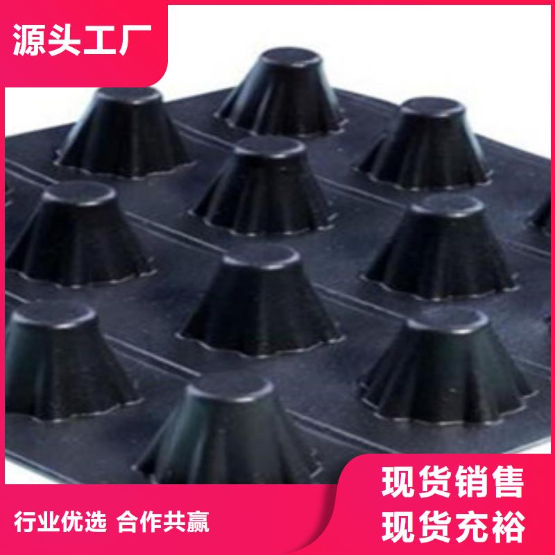 塑料排水板三维植被网厂家