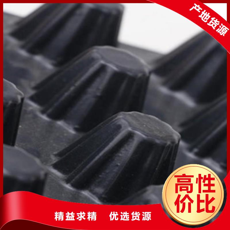 塑料排水板塑料土工格栅一致好评产品