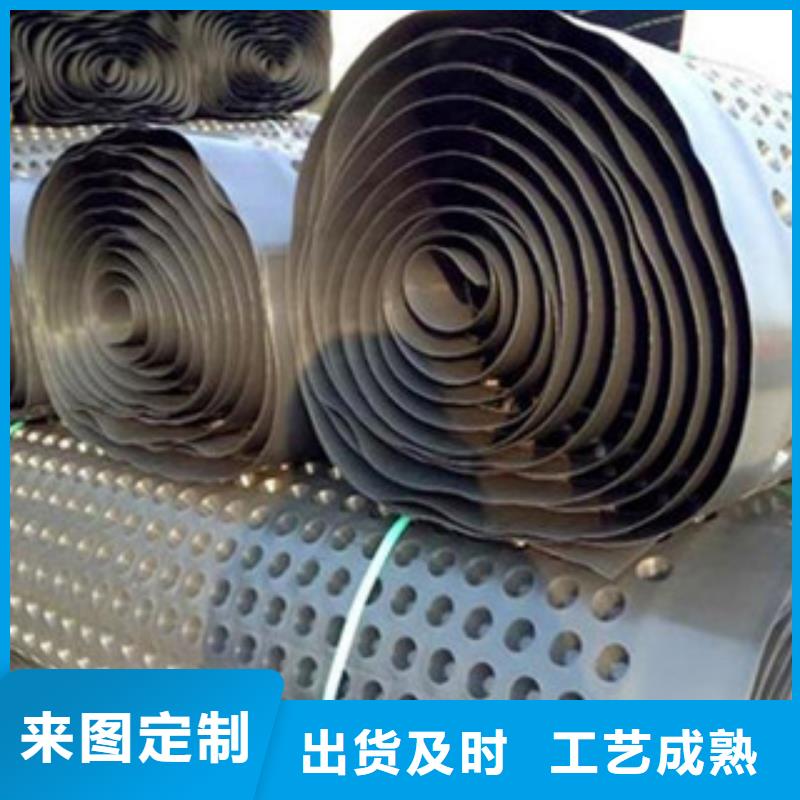 塑料排水板塑料土工格柵一致好評產品