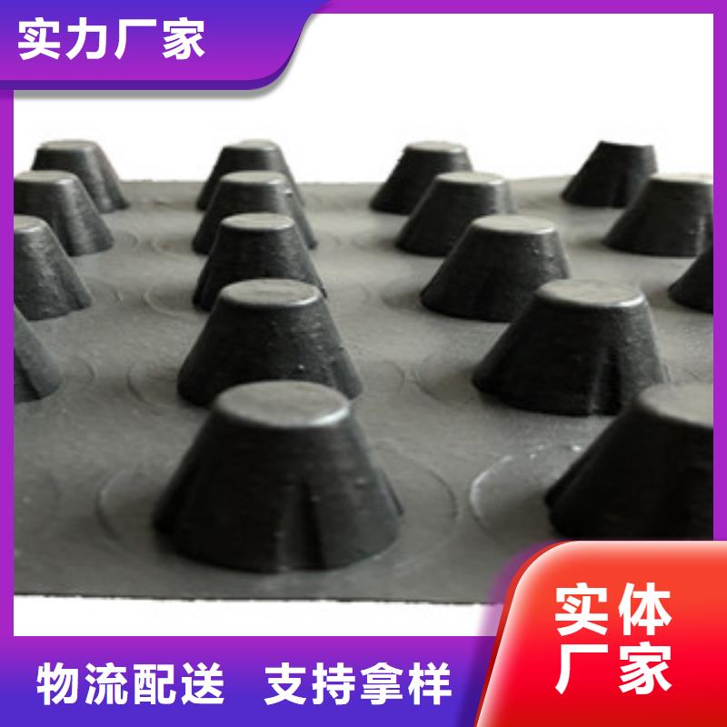塑料排水板塑料土工格栅追求品质