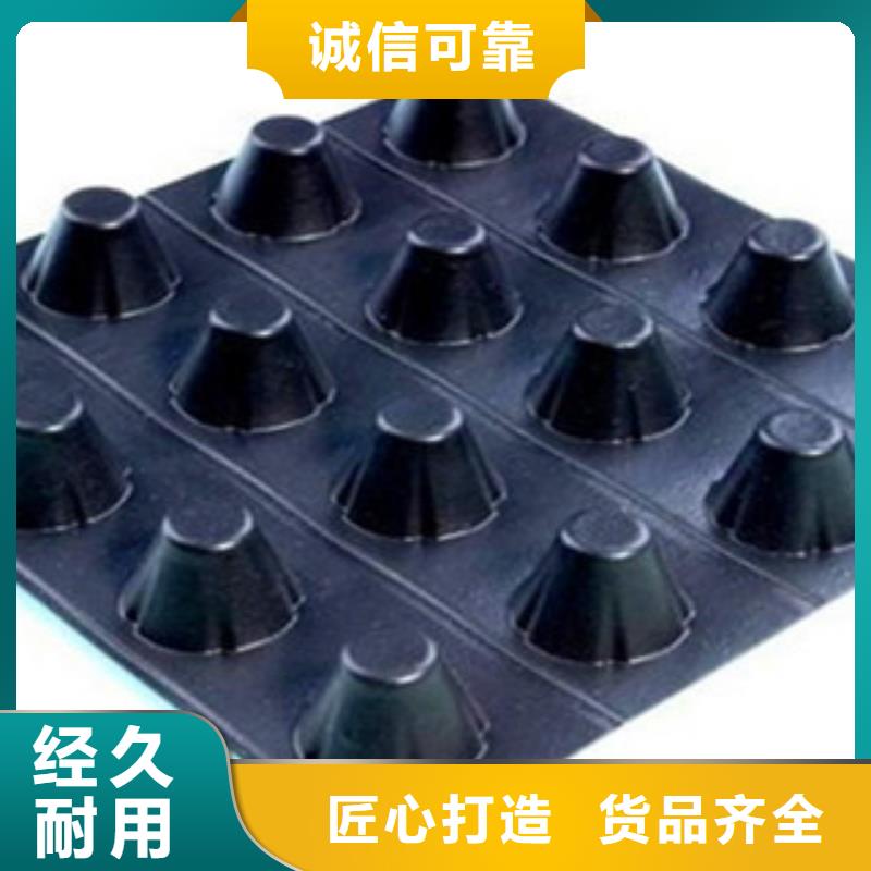 塑料排水板,三维植被网您身边的厂家