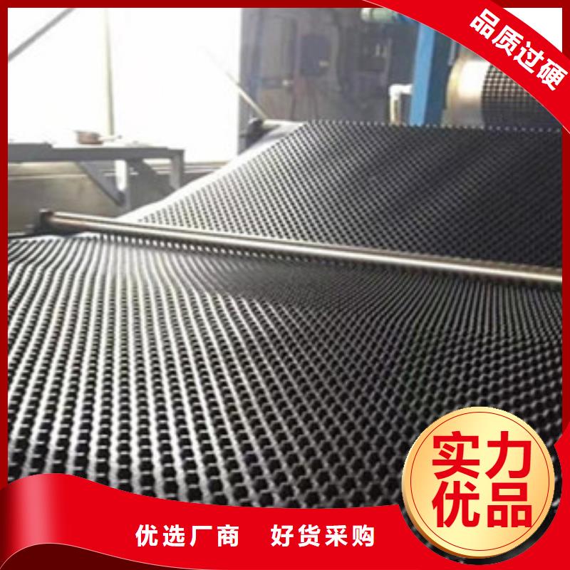 塑料排水板塑料土工格栅追求品质