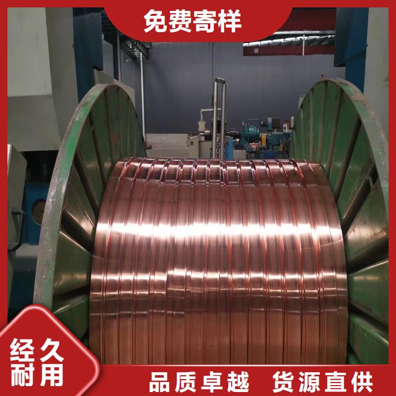 常州定制镀锡铜绞线TJX150mm2一米价格
