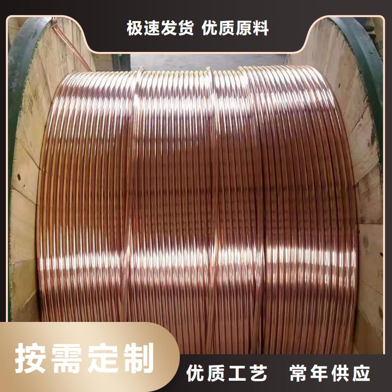 TJ-300mm2铜绞线TJ-300mm2铜绞线%