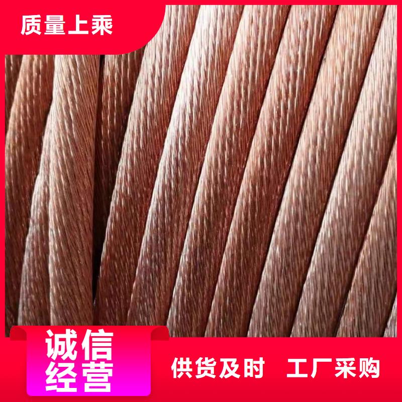东莞本地【TJX-250mm2铜绞线】生产厂家供应%铜绞线