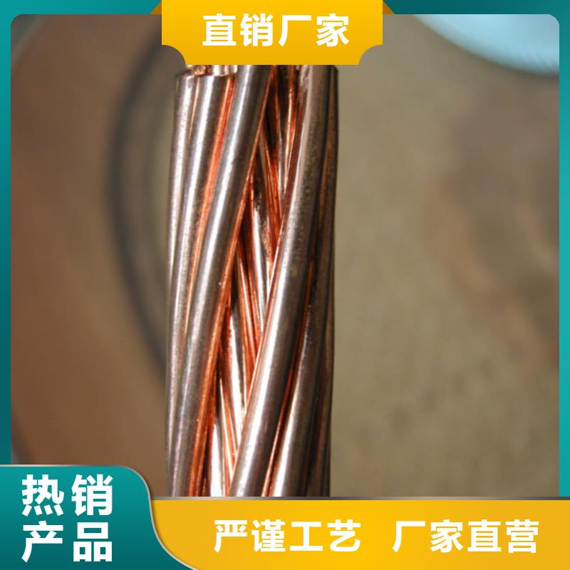 换流站接地铜绞线TJ-120mm2更多满减折扣!网购上,单单有惊喜!