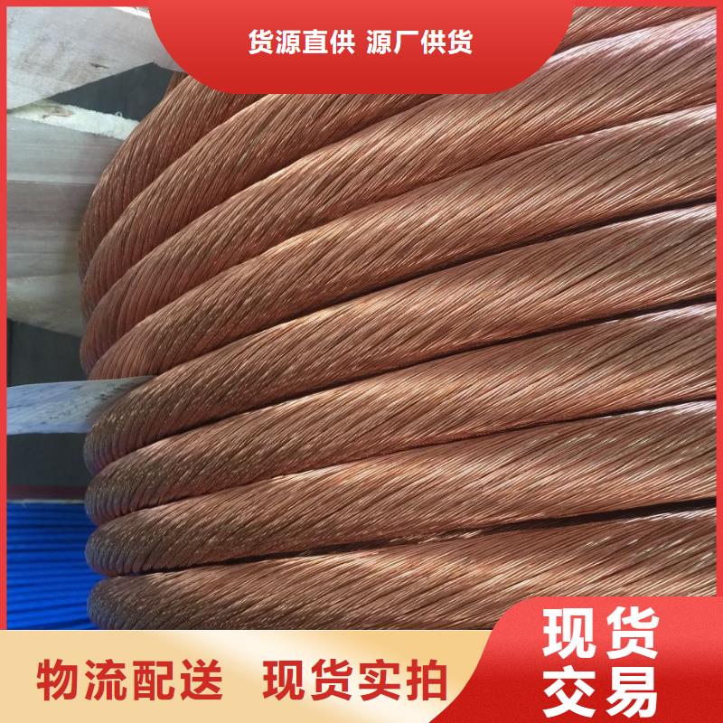 镀锡铜绞线-全国走货