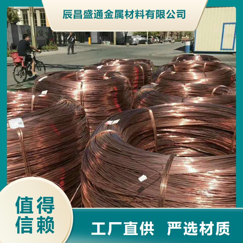 裸铜绞线400mm2换流站防雷接地接地专用