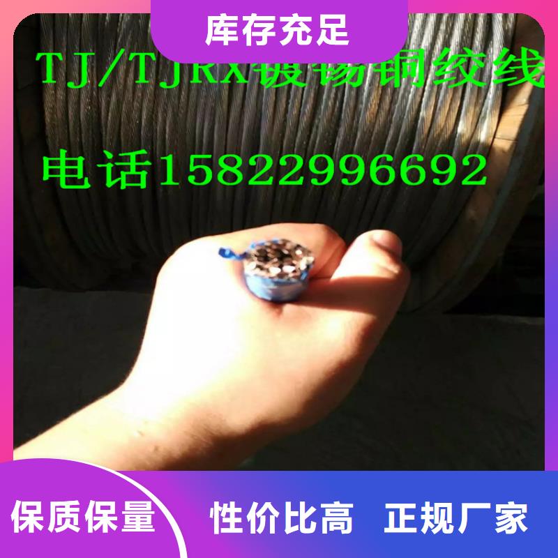 海西直销【TJX-500mm2镀锡铜绞线】一米多少钱