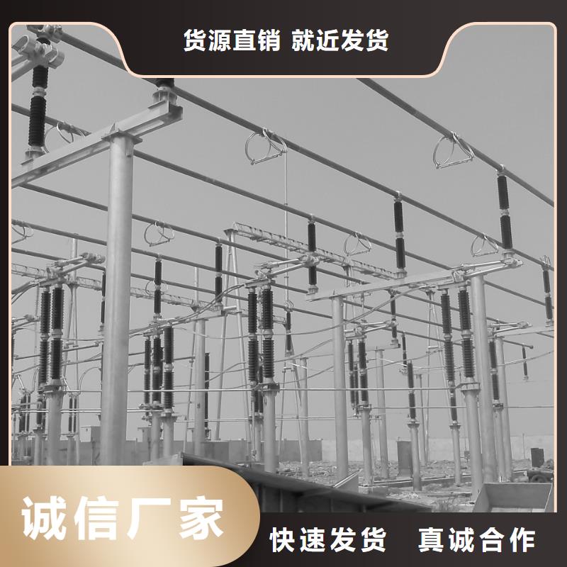 品牌:辰昌盛通-多种工艺 管母线【镀锡铜绞线】质优价保_企业旺旺