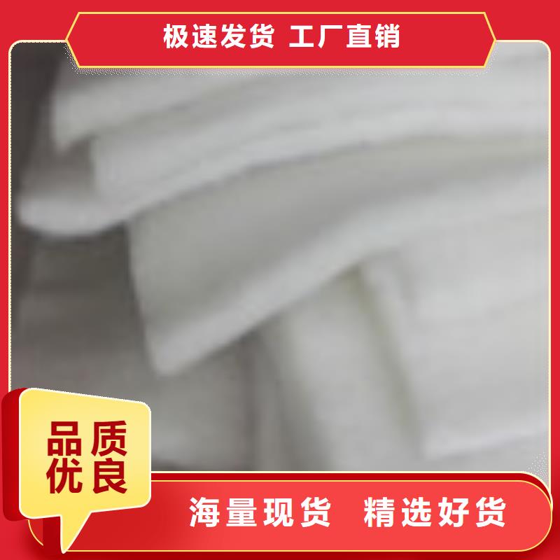防水板泰驰企业旺旺_【聚丙烯纤维】工艺精细质保长久