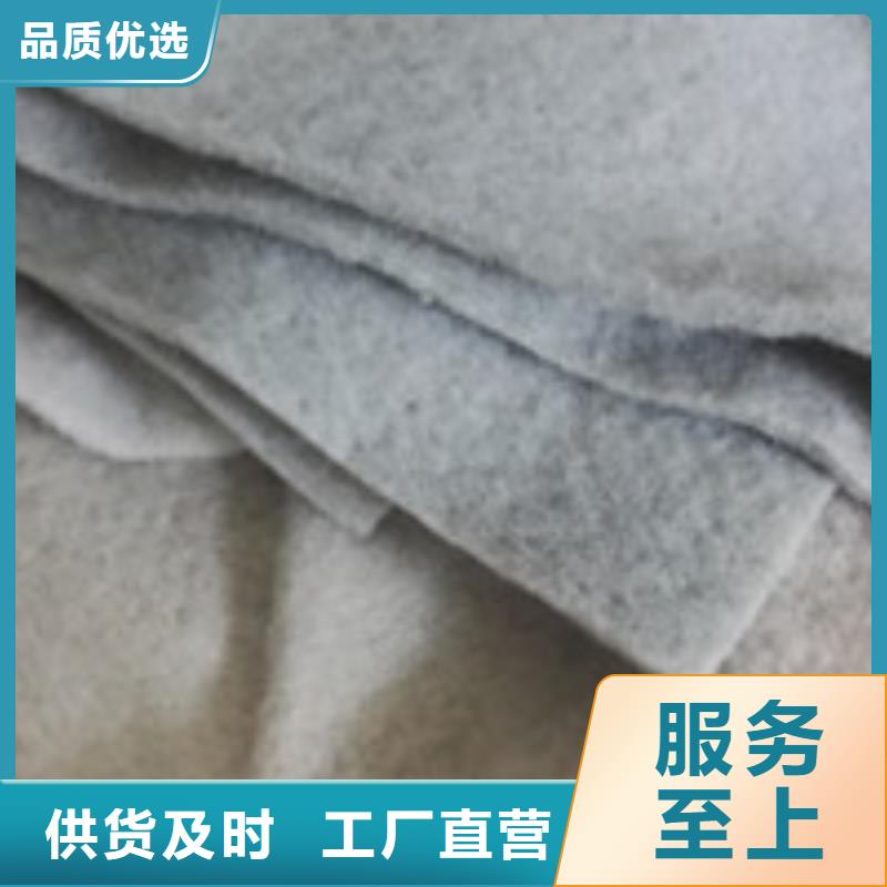 防水板泰驰企业旺旺_【聚丙烯纤维】工艺精细质保长久