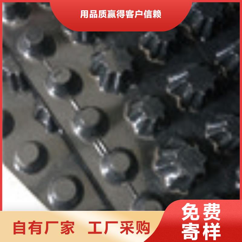【 零商网,塑料盲沟管厂诚信经营】泰驰防水板