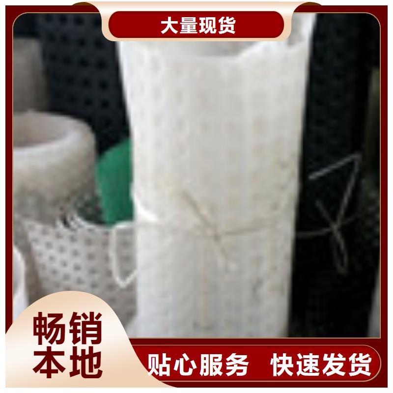 【 零商网,塑料盲沟管厂诚信经营】泰驰防水板