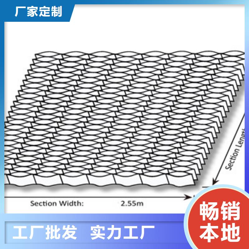 蜂巢格室土工格室源头厂家经验丰富