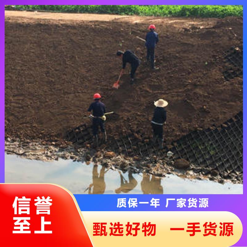 【蜂巢格室】涤纶格栅对质量负责