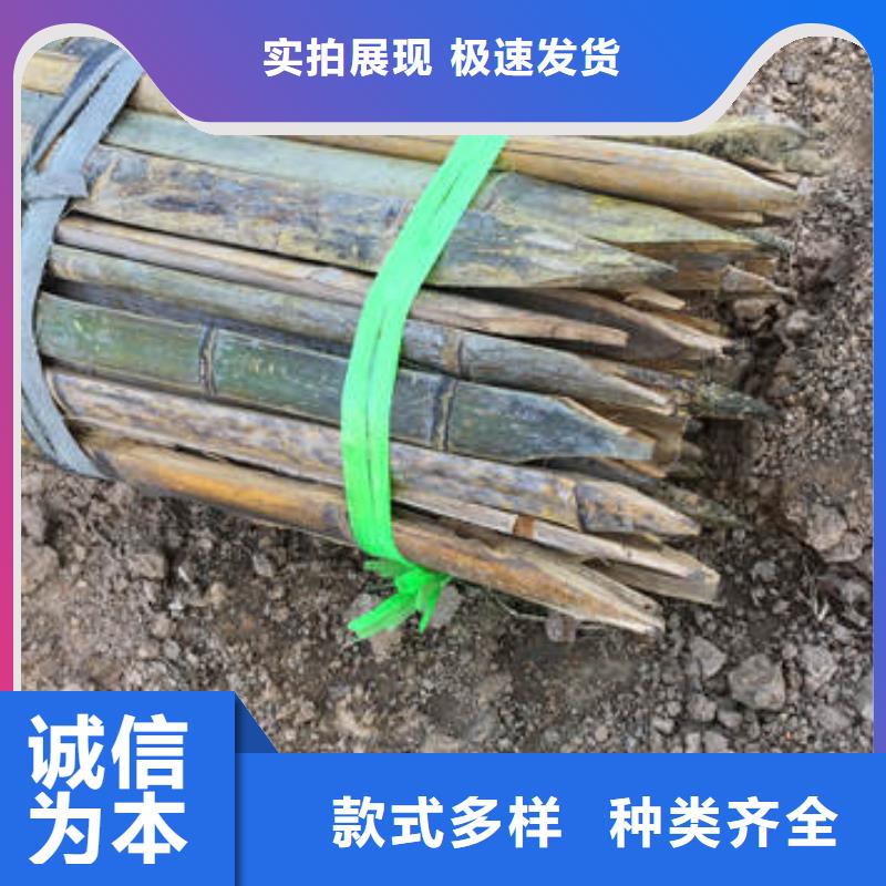 土工膜厂家