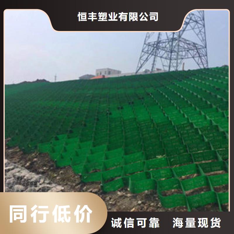 蜂巢格室蜂格网多种场景适用